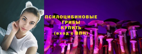 эйфоретик Алексин