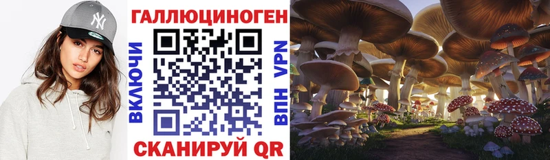 это какой сайт  Дивногорск  Псилоцибиновые грибы Psilocybe 