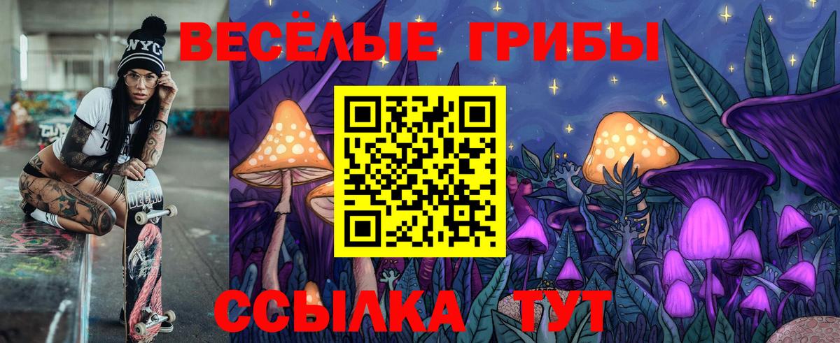 Галлюциногенные грибы мухоморы Дивногорск